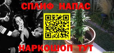 амф Тверь