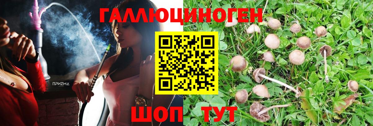 Галлюциногенные грибы Magic Shrooms  Вход с VPN  Назарово 